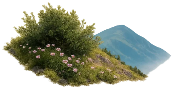 Flower in a Bush
